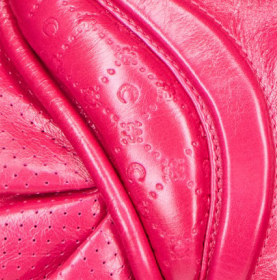 Glossy Leather